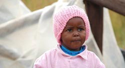 网站攻击软件工具