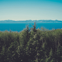 免费cc攻击测试