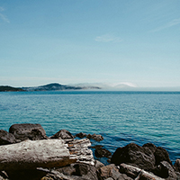 在线DDOS攻击平台